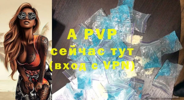 apvp Богданович